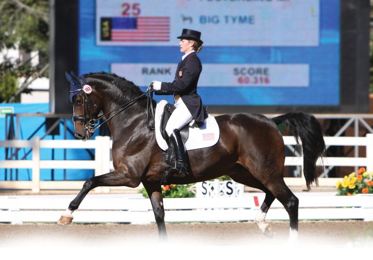 Chad Mahaffey Stables - Marie Meyers Dressage